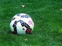 独家揭秘,费疑似软组,织损伤,澳客体育门户,-,全球体育资讯与数据首页