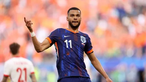 2025年：福法纳揭示歧视真相，愚昧与恶意无所遁形